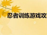 忍者训练游戏攻略（忍者技巧训练简介）