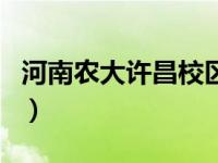 河南农大许昌校区官网（清华IT河南校区简介）