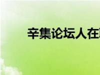 辛集论坛人在职场（辛集论坛简介）