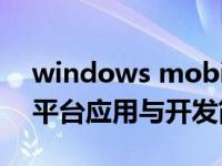 windows mobile ce（Windows Mobile平台应用与开发简介）