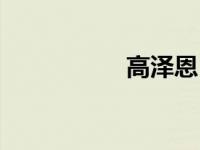 高泽恩（高泽冶简介）