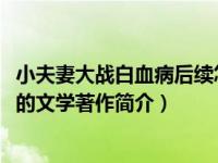 小夫妻大战白血病后续怎么样（小夫妻大战白血病-馒头撰写的文学著作简介）