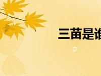 三苗是谁（三苗网简介）