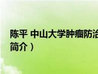 陈平 中山大学肿瘤防治中心（陈平-中山大学岭南学院教授简介）