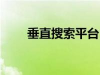 垂直搜索平台（垂直搜索引擎简介）
