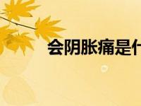 会阴胀痛是什么原因（会阴简介）