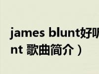 james blunt好听的歌（BONES-James Blunt 歌曲简介）