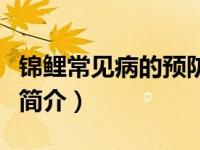 锦鲤常见病的预防和治疗（锦鲤鱼病防治技术简介）