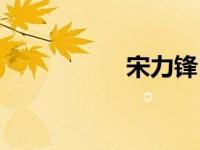 宋力锋（宋力维简介）