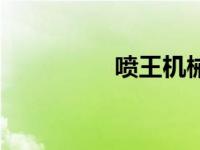 喷王机械（喷王吧简介）