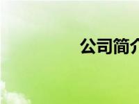 公司简介（王思苦简介）