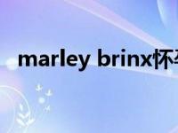 marley brinx怀孕（Ziggy Marley简介）