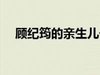 顾纪筠的亲生儿子和继子（顾纪筠简介）