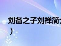 刘备之子刘禅简介（李亚明-李天佑之子简介）