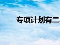 专项计划有二本吗（专项计划简介）