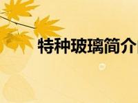 特种玻璃简介内容（特种玻璃简介）