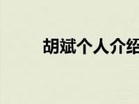 胡斌个人介绍（胡宾-企业家简介）