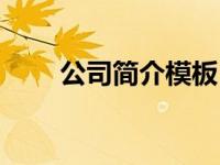 公司简介模板（紫鑫中华广场简介）