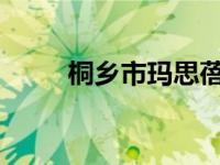 桐乡市玛思蓓丝服饰有限公司简介