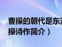 曹操的朝代是东汉还是三国（苦寒行-东汉曹操诗作简介）