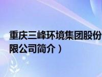 重庆三峰环境集团股份有限公司（重庆三峰环境产业集团有限公司简介）