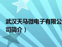 武汉天马微电子有限公司简介图片（武汉天马微电子有限公司简介）