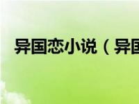 异国恋小说（异国恋--我的黑马王子简介）