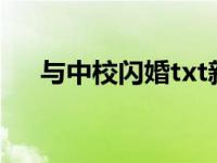 与中校闪婚txt新浪（与中校闪婚简介）