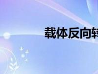 载体反向转运（反载体简介）
