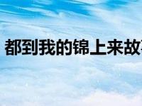 都到我的锦上来故事简介（锦上国际区简介）