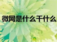 微网是什么干什么用的（微网标准体系简介）