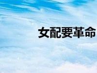 女配要革命（女配要革命简介）