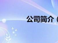 公司简介（公主之骑士简介）