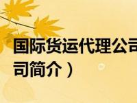国际货运代理公司简介视频（国际货运代理公司简介）