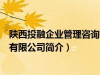 陕西投融企业管理咨询有限公司（陕西中投融城房地产开发有限公司简介）