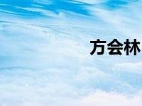 方会林（方会成简介）
