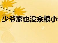 少爷家也没余粮小说（少爷家也没余粮简介）