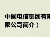 中国电信集团有限责任公司（中国电信集团有限公司简介）