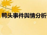 鸭头事件舆情分析报告（舆情分析报告简介）