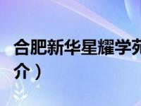 合肥新华星耀学苑项目简介（最强星耀至尊简介）