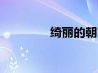绮丽的朝霞（绮丽丝简介）