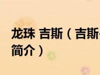 龙珠 吉斯（吉斯-日本动漫作品《龙珠》角色简介）