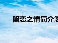 留恋之情简介怎么写（留恋之情简介）