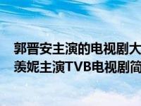 郭晋安主演的电视剧大全集（古灵精探-2008年郭晋安、郭羡妮主演TVB电视剧简介）