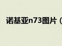 诺基亚n73图片（诺基亚N73网络版简介）