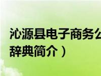 沁源县电子商务公共服务中心简介（电子商务辞典简介）