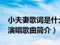 小夫妻歌词是什么呢（小夫妻-蔡淳佳欧得洋演唱歌曲简介）