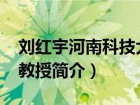 刘红宇河南科技大学（刘鸿亮-河南科技大学教授简介）