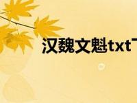 汉魏文魁txt下载（汉魏文魁简介）