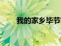 我的家乡毕节简介（家乡红了简介）